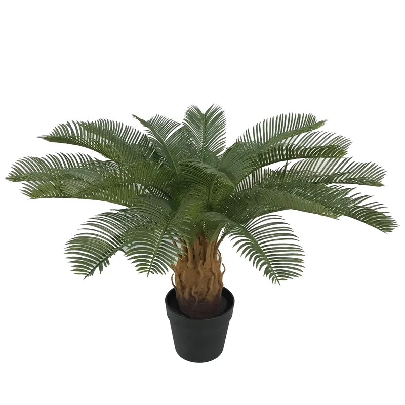 人工サイカスサゴ盆栽、家の装飾用サイカス・レボルタ工芸品、鉢 - Home Decor Handicraft のレビューと価格