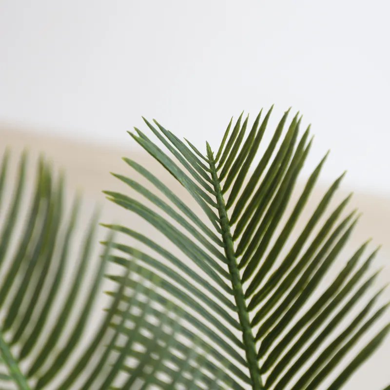 人工サイカスサゴ盆栽、家の装飾用サイカス・レボルタ工芸品、鉢 - Home Decor Handicraft のレビューと価格