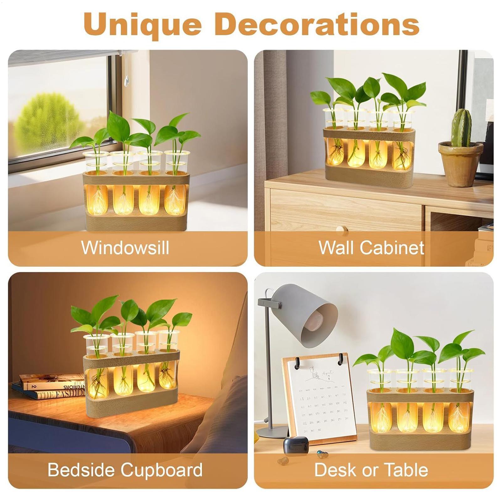 LED植物繁殖ステーション 水耕栽培ガラス試験管テラリウム  - Home Decor Youtube のレビューと価格