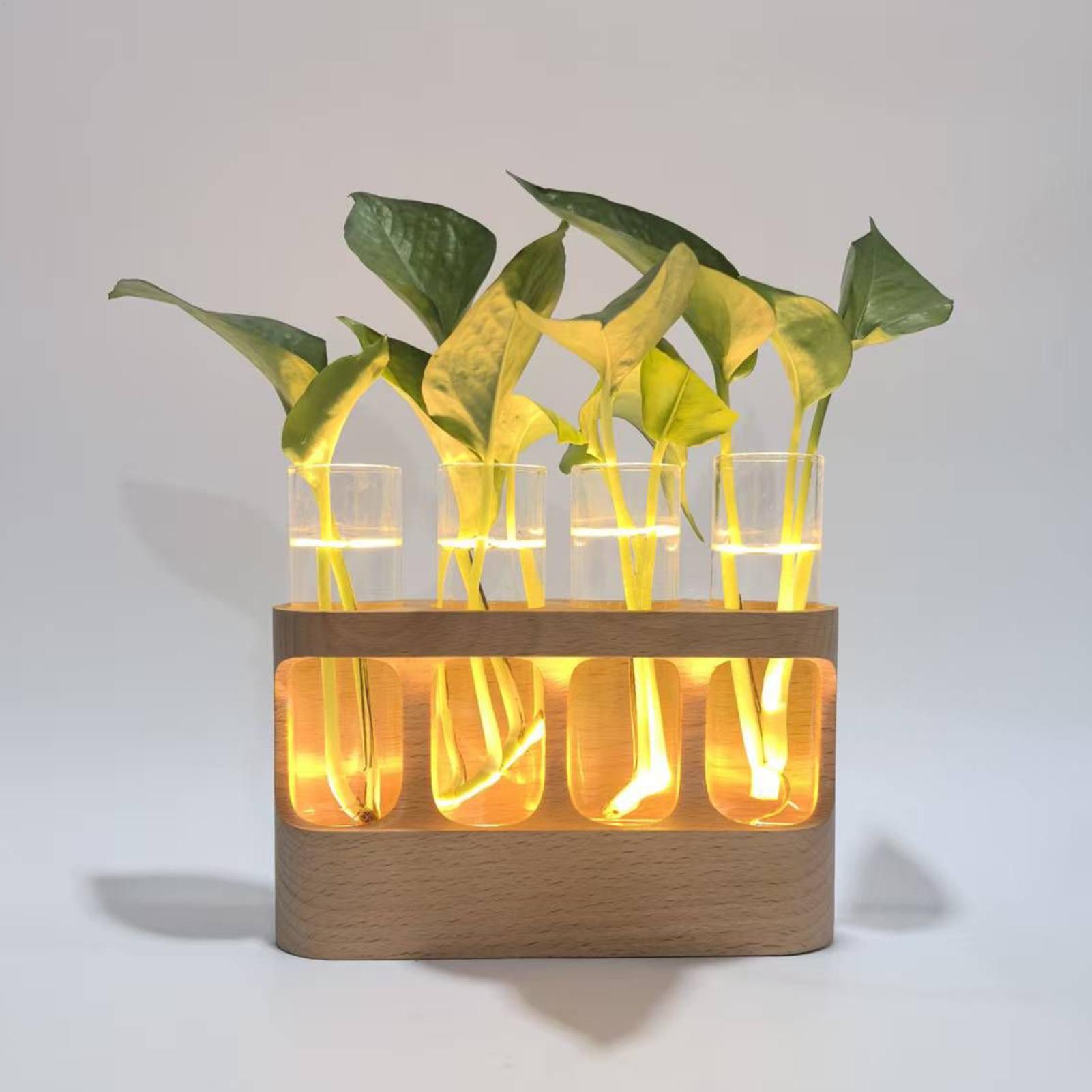 LED植物繁殖ステーション 水耕栽培ガラス試験管テラリウム  - Home Decor Youtube のレビューと価格