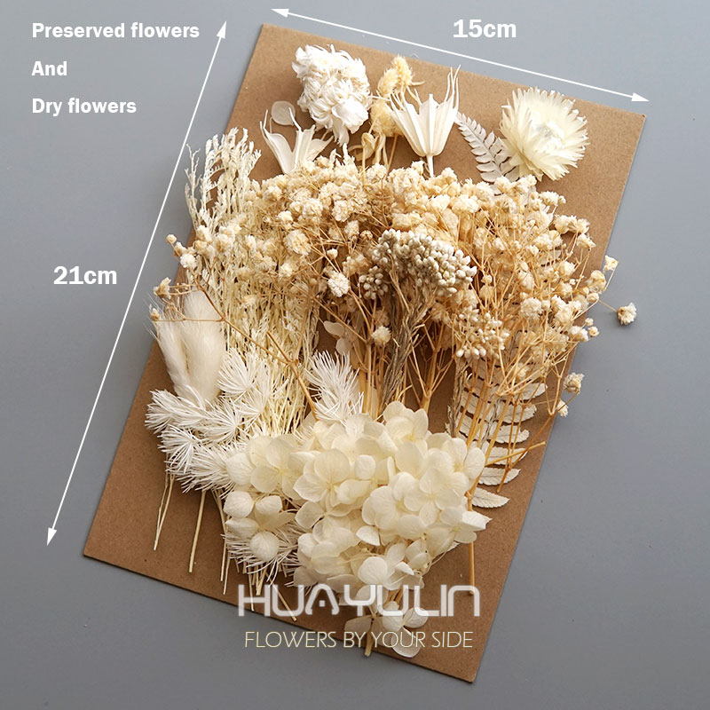 1 パック人工植物ドライ本物の花プリザーブド材料エポキシ樹脂 - Home Decor Handicraft のレビューと価格